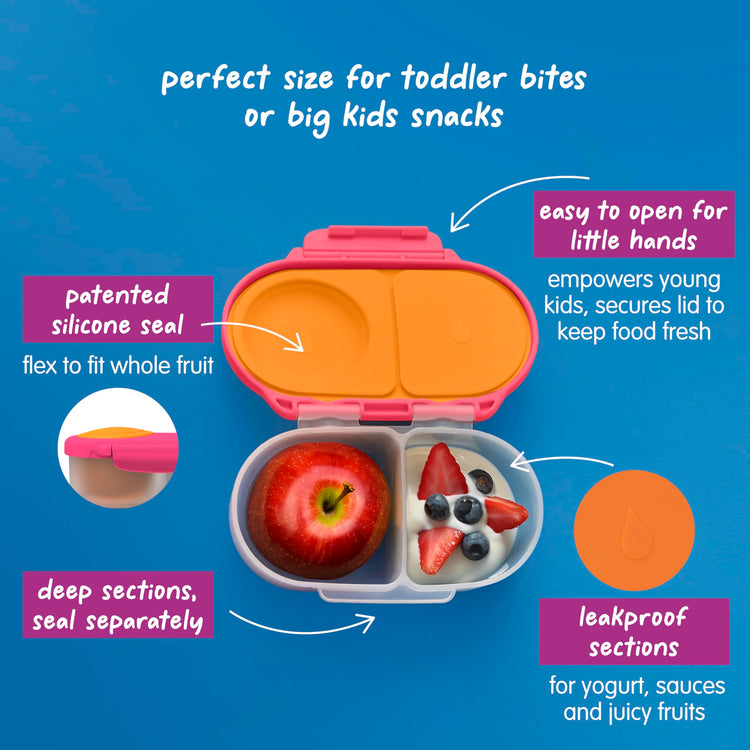 Snack Box Snack Containers for Kids