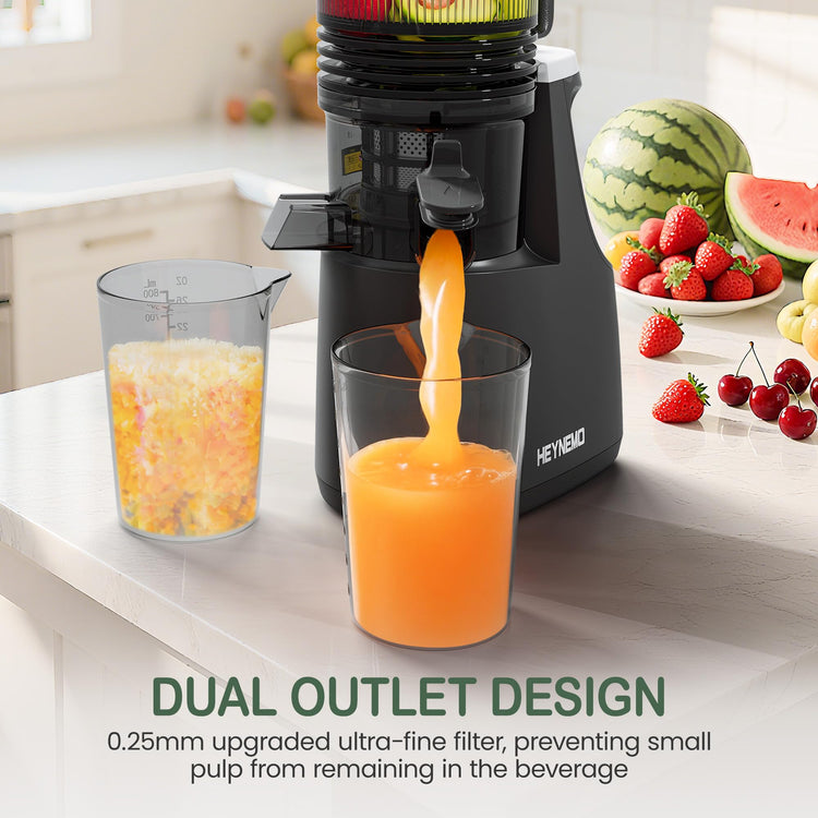 HEYNEO Slow Masticating Juicer Machine