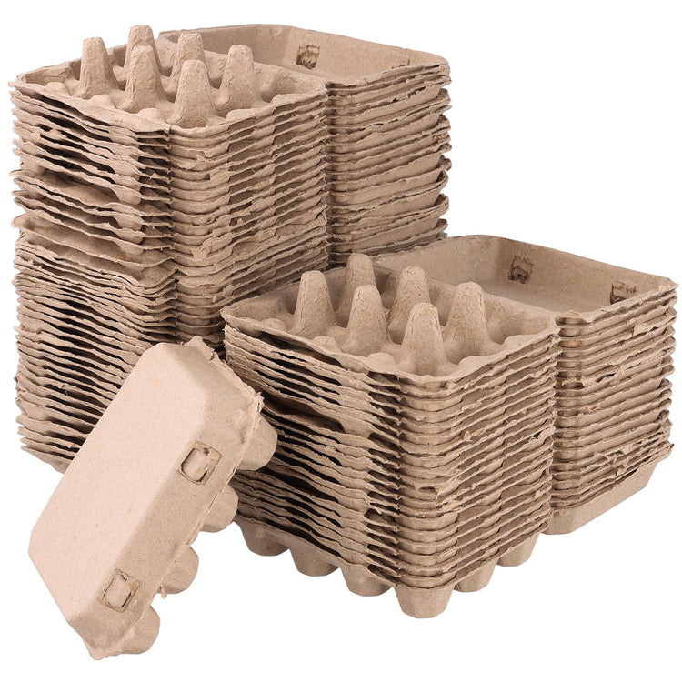 60 Pack 12 Count Quail Egg Cartons (60 Count)