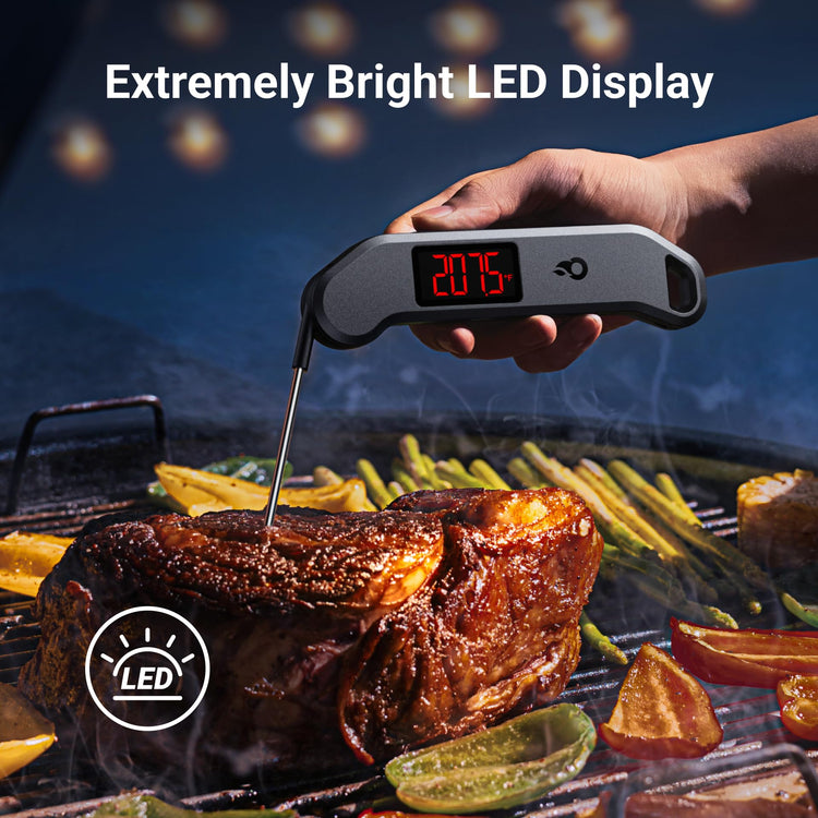 1 Sec Professional Digital Meat Thermometer