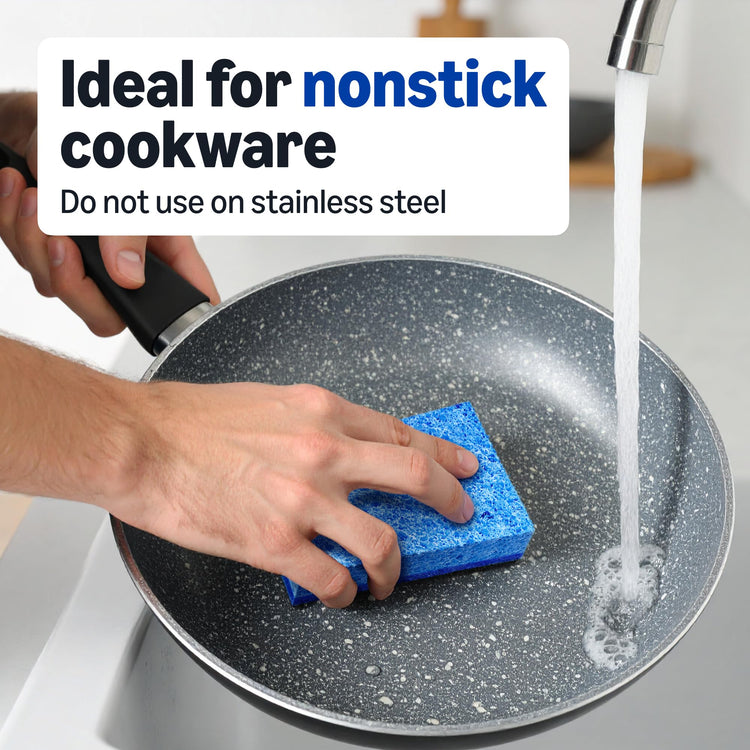 Non Scratch Dual (6 Count)