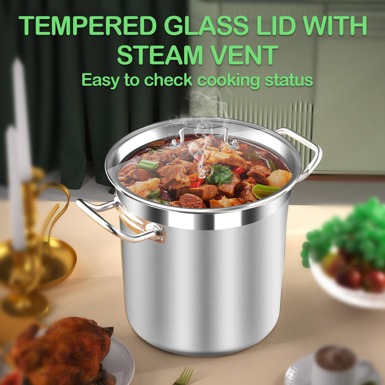 Stainless Steel 20 Quart Stockpot with Tempered Glass Lid
