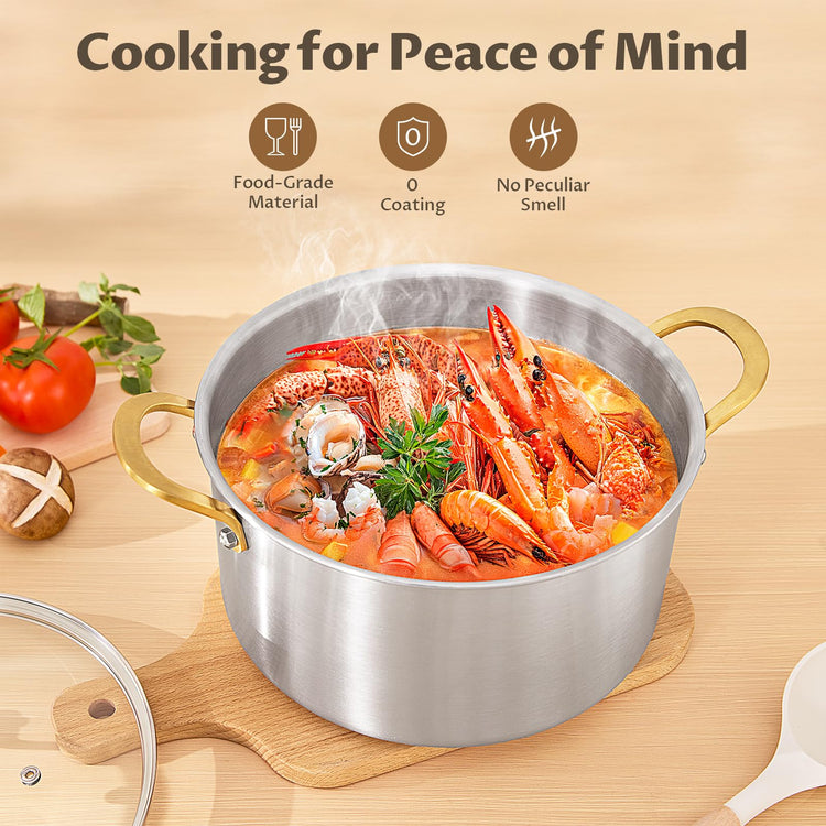 10 QT Stock Pot with Lid