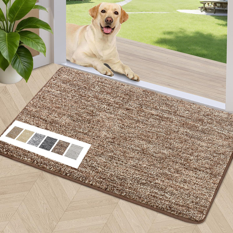 Indoor Doormat 20"x32"