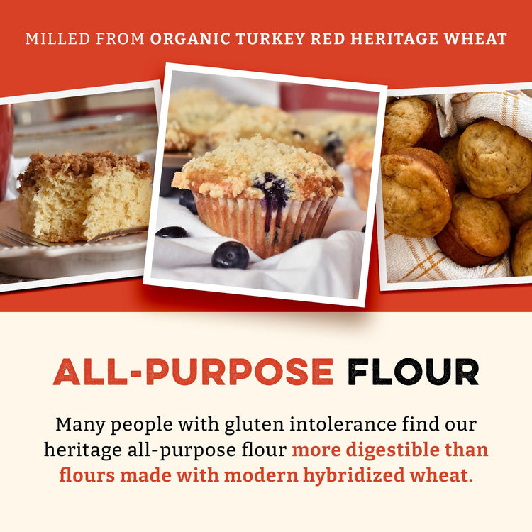 Heritage Organic White Flour (400 Ounce)