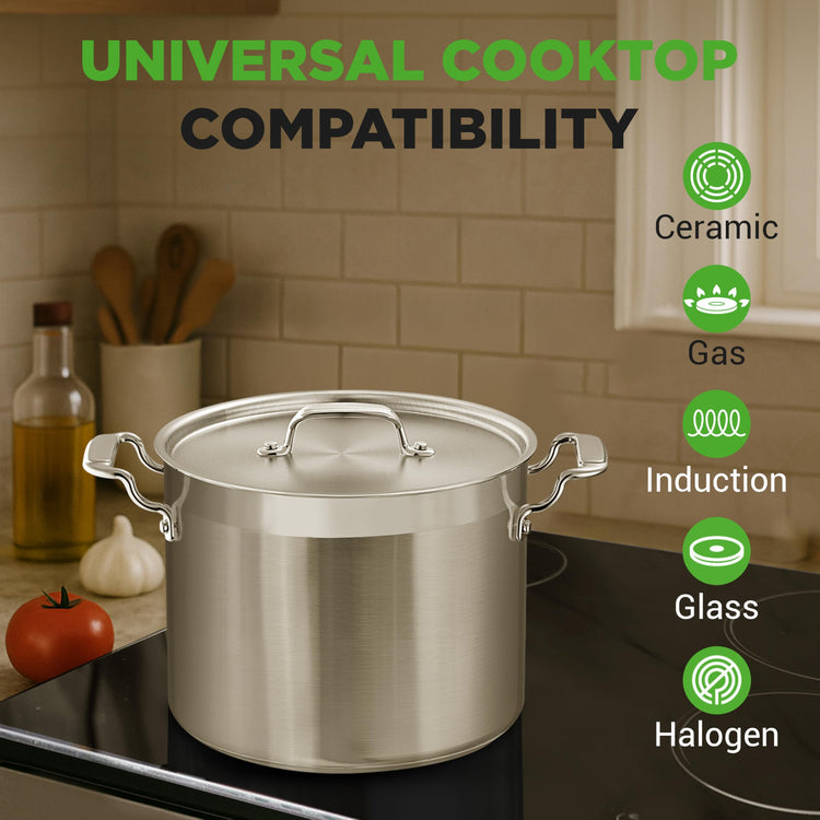 14 Quart Stock Pot with Lid