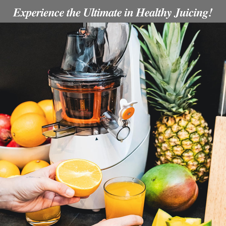 Cold Press Slow Masticating Juicer