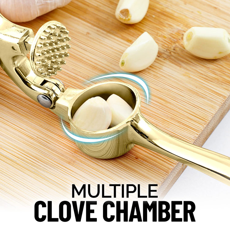 Premium Garlic Press with Soft