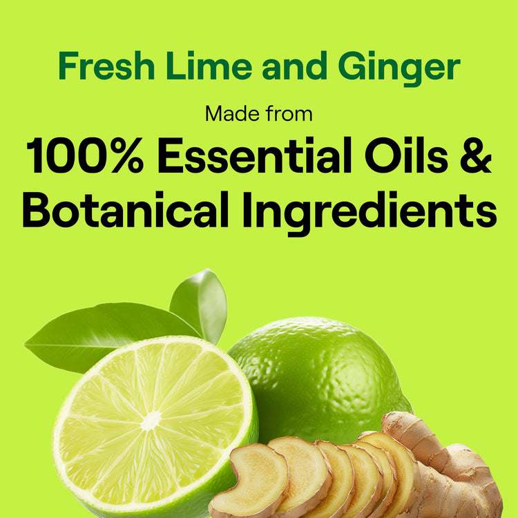 Dish Soap Fresh Lime & Ginger Scent 1 count Dishwashing Soap Dish Detergent Liquid Soap 19 oz (19 Fl Oz)