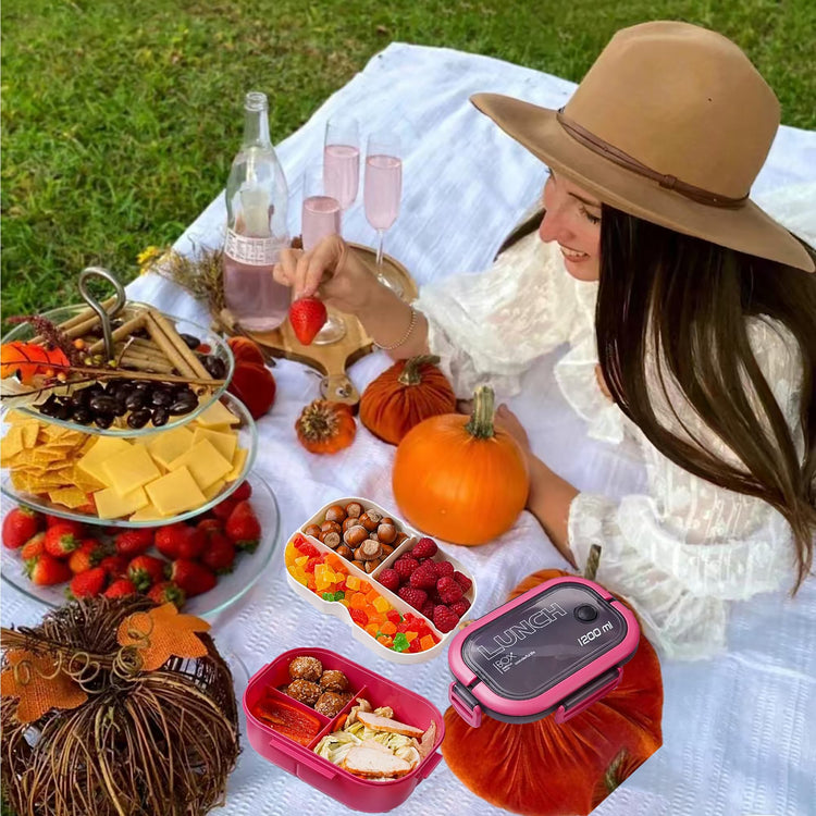Double Layer Bento Box with Cutlery