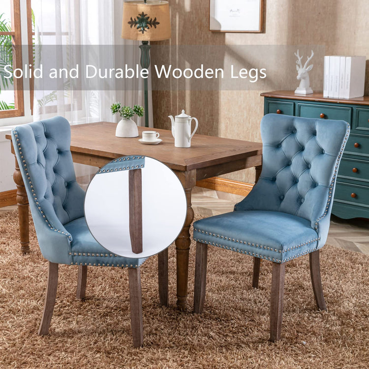 Light Blue Velvet Dining Chairs Set of 2 (2 Count)