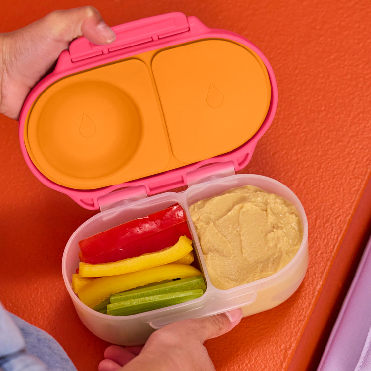 Snack Box Snack Containers for Kids