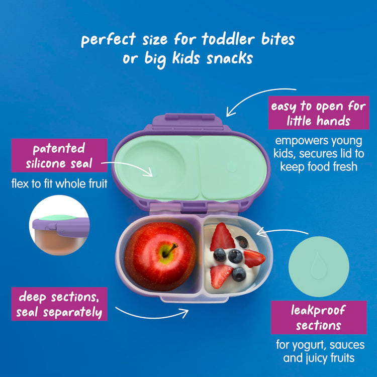 Snack Box Snack Containers for Kids