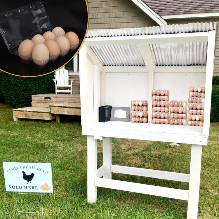 150 Pack Bulk Egg Cartons (150 Count)