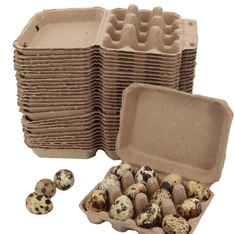 30 Pcs Quail Egg Cartons Paper Pulp Egg Basket (30 Count)