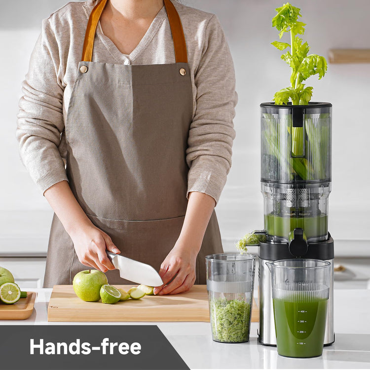 Cold Press Juicer
