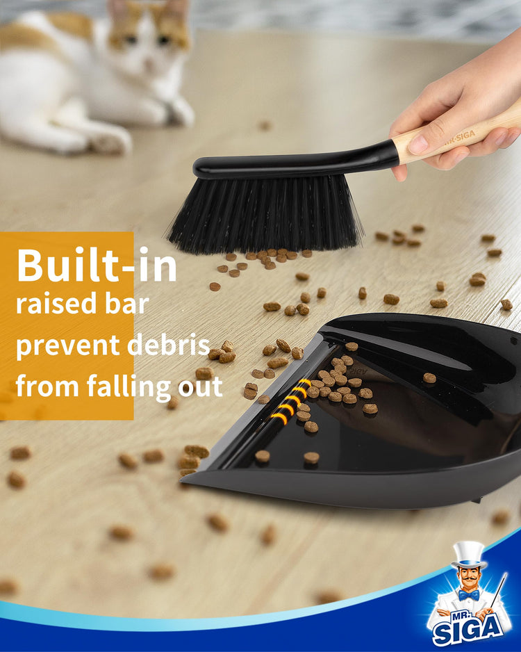 Dustpan and Brush Set