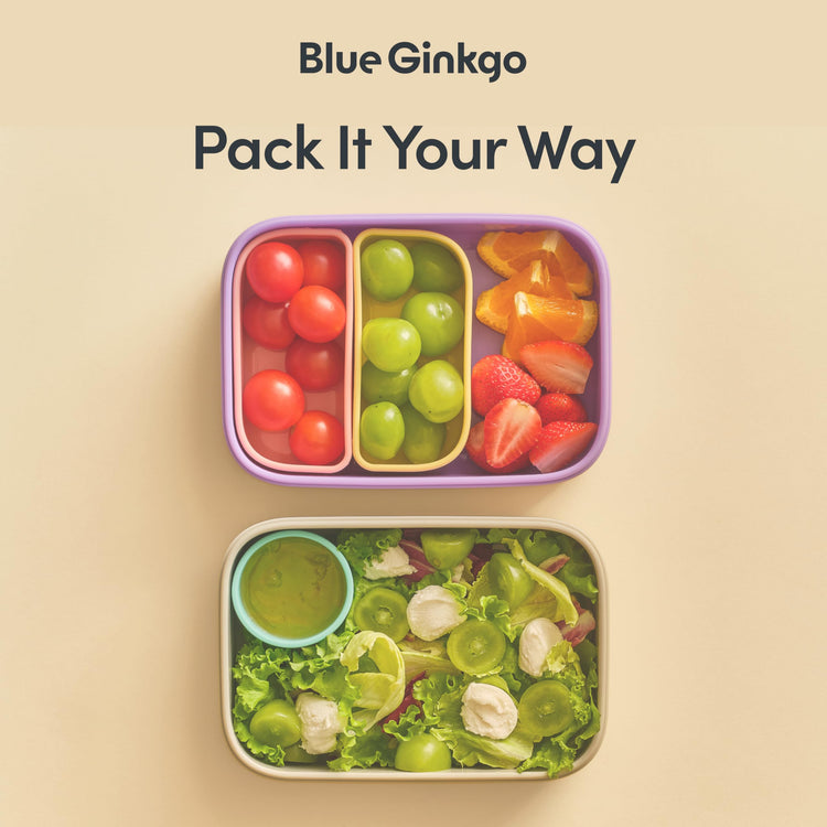 Bento Style Silicone Lunch Box Set