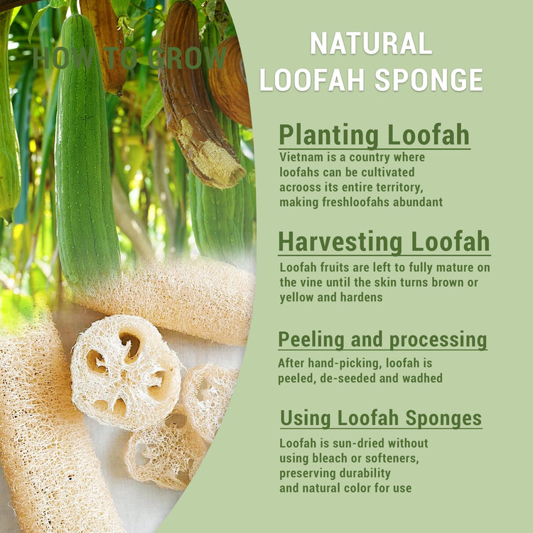 Natural Loofah Kitchen Scrubbing Pads (4 Count)
