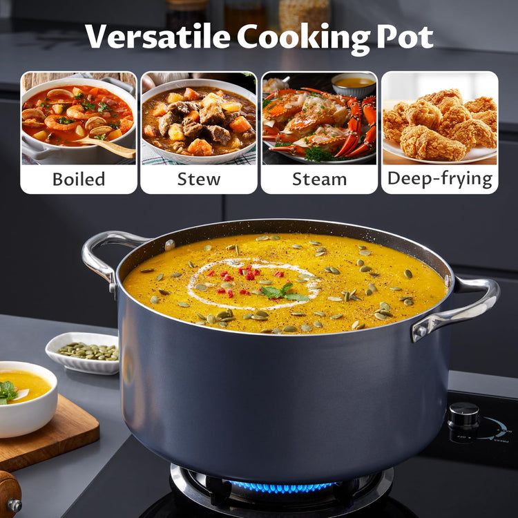 8 Quart Nonstick Stock Pot with Lid