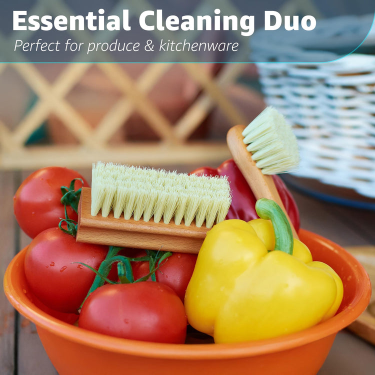 Vegetable Brush Set of 2 (2 count count)