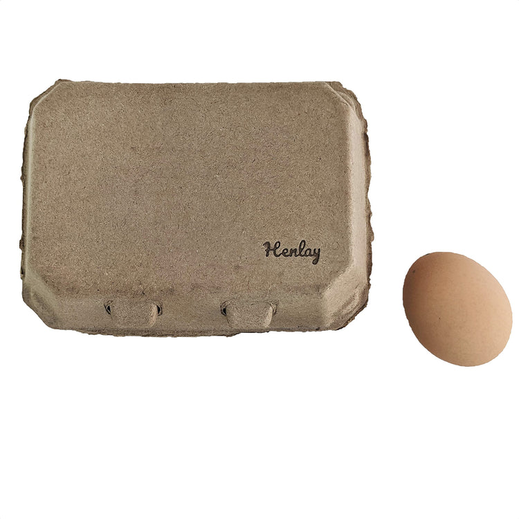 Half Dozen Blank Egg Cartons (100 Count)