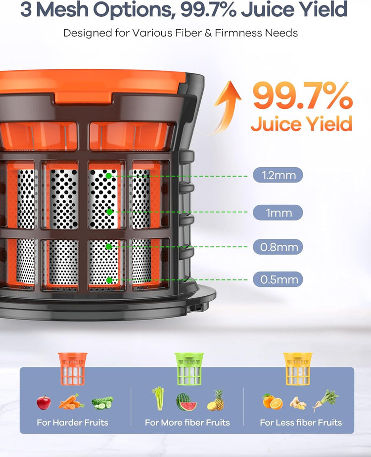 Ganiza Juicer Machines, Cold Press Juicer with 4.3" Large Feed Chute for Whole Fruits & Vegetables, Slow Masticating juicers with 3 Replace Filters for Batch Juicing, Easy to Clean, BPA Free (White)