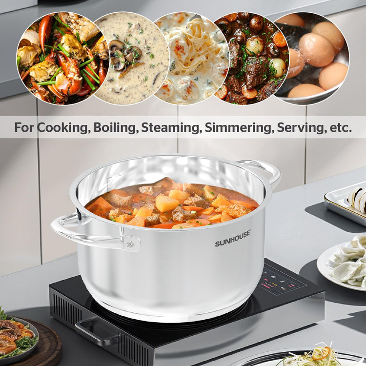 Stainless Steel Stock Pot