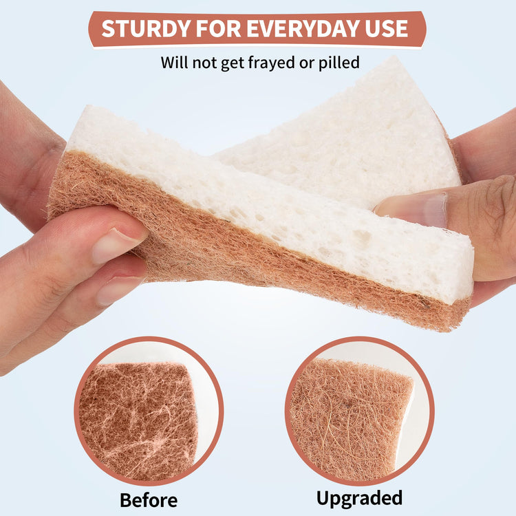 Natural Dish Sponge 24 Pack (24 Count)