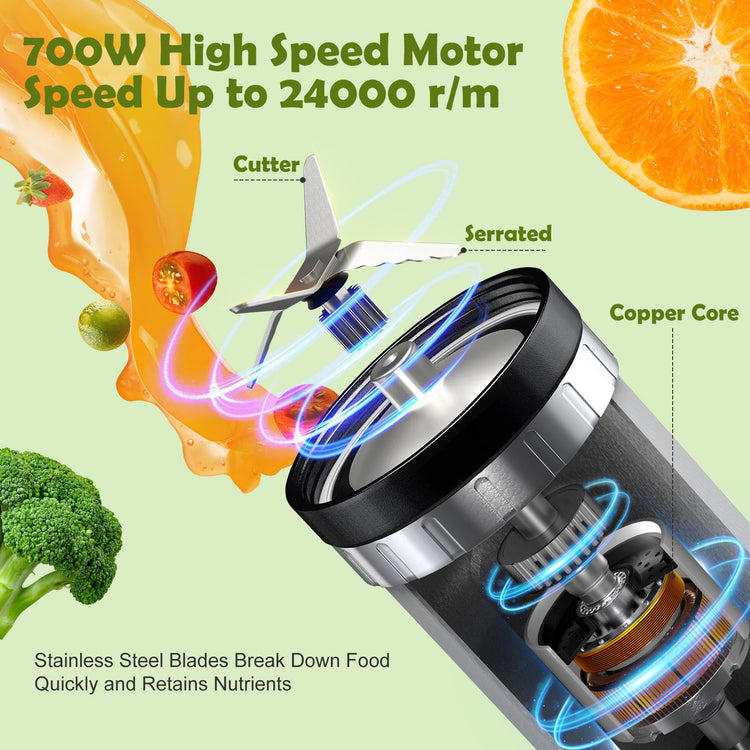 Blender and Food Processor Combo