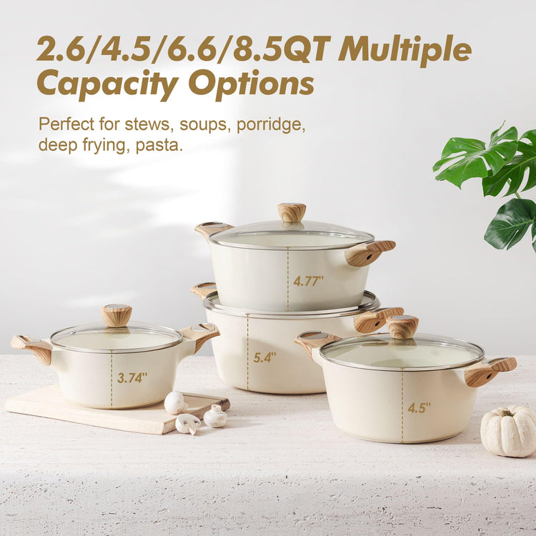 Ceramic Nonstick Stock Pot with Lid