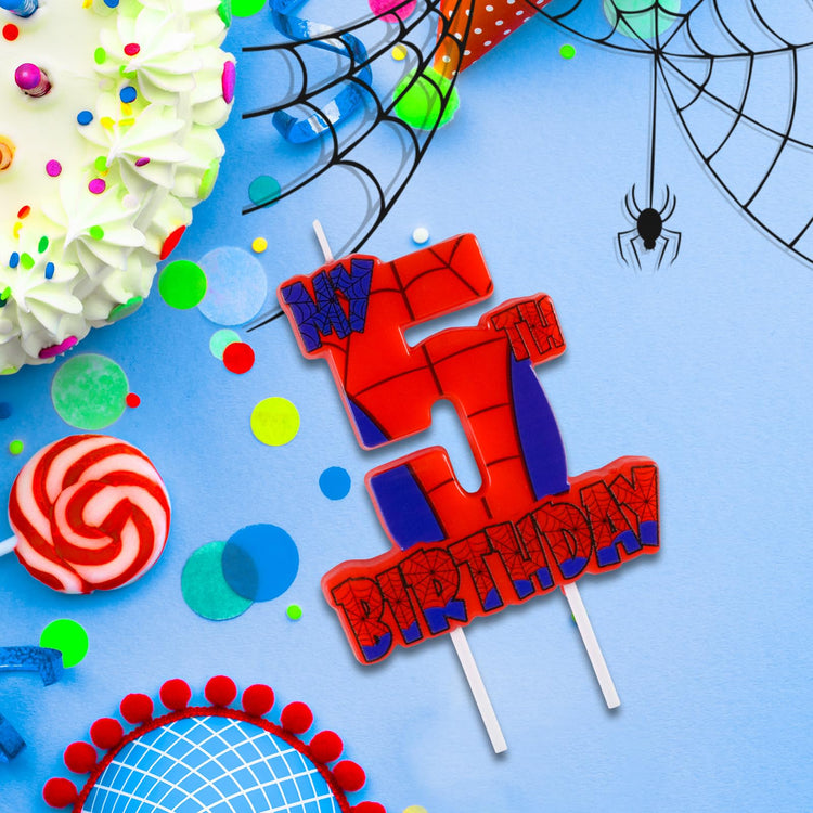 Spider Birthday Party Decorations