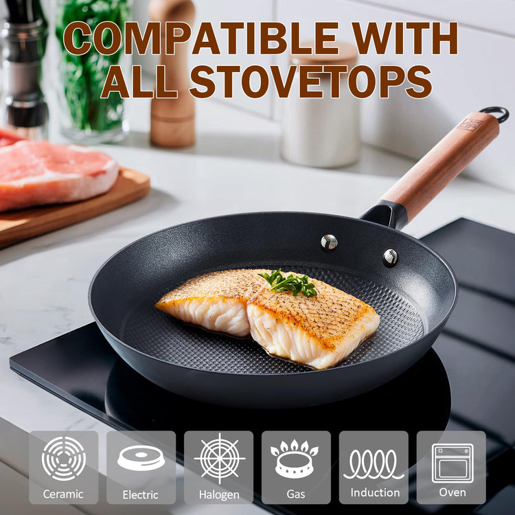 Cast Iron 10 Inch Nonstick Skillets