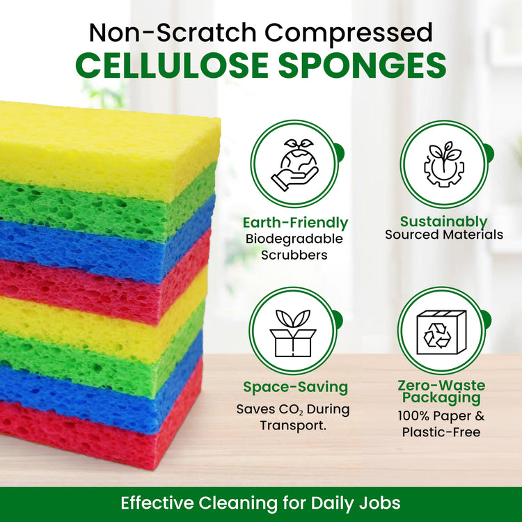 Cellulose Sponges (24 Count)