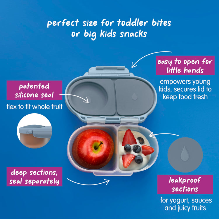 Snack Box Snack Containers for Kids