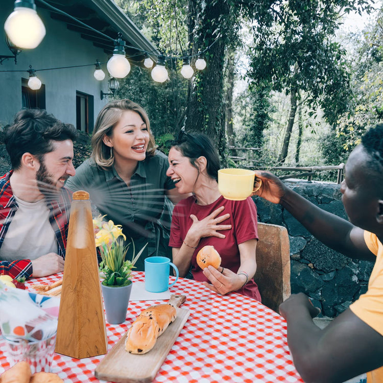 Portable Fly Fans for Tables to Keep Your Food (4 Count)