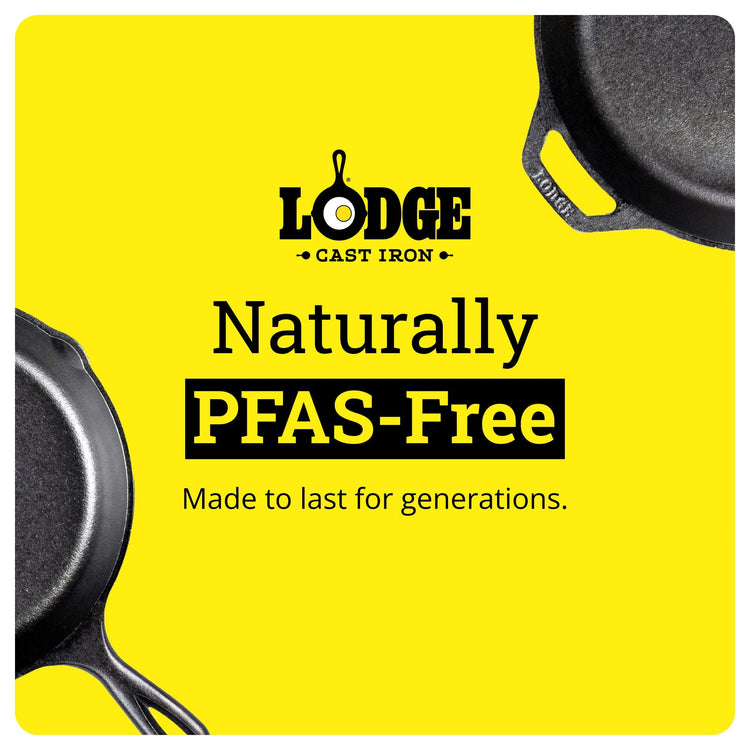 Pre Seasoned Cast Iron Skillet