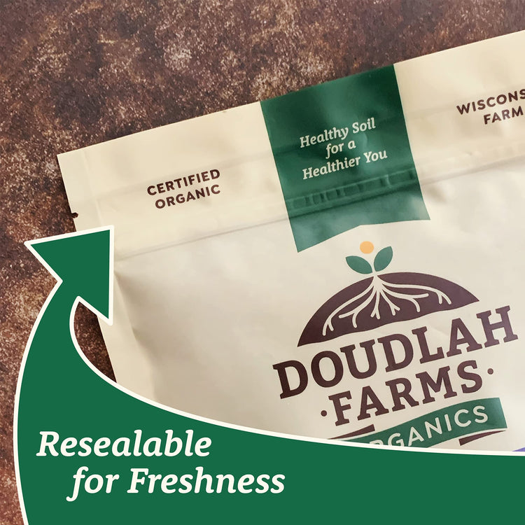 Organic Whole Wheat Flour 5 lb (80 Ounce)