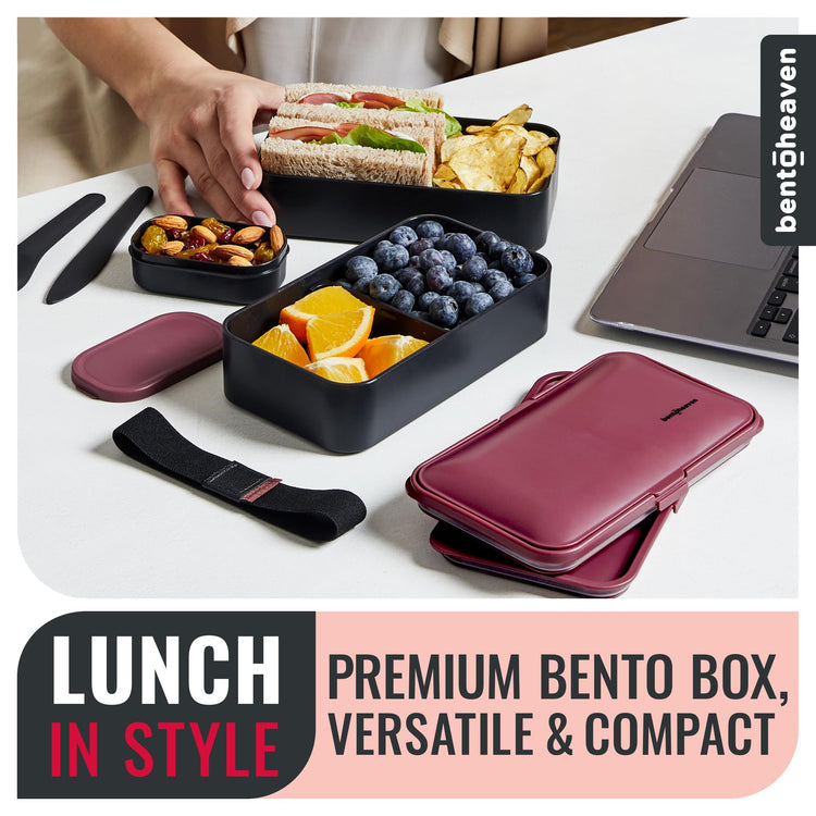 Bento Box Adult