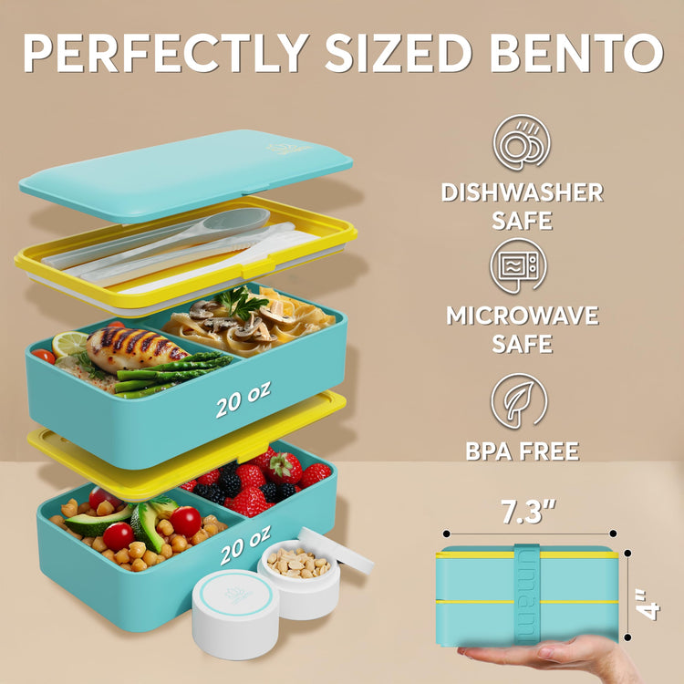 Bento Box Adult