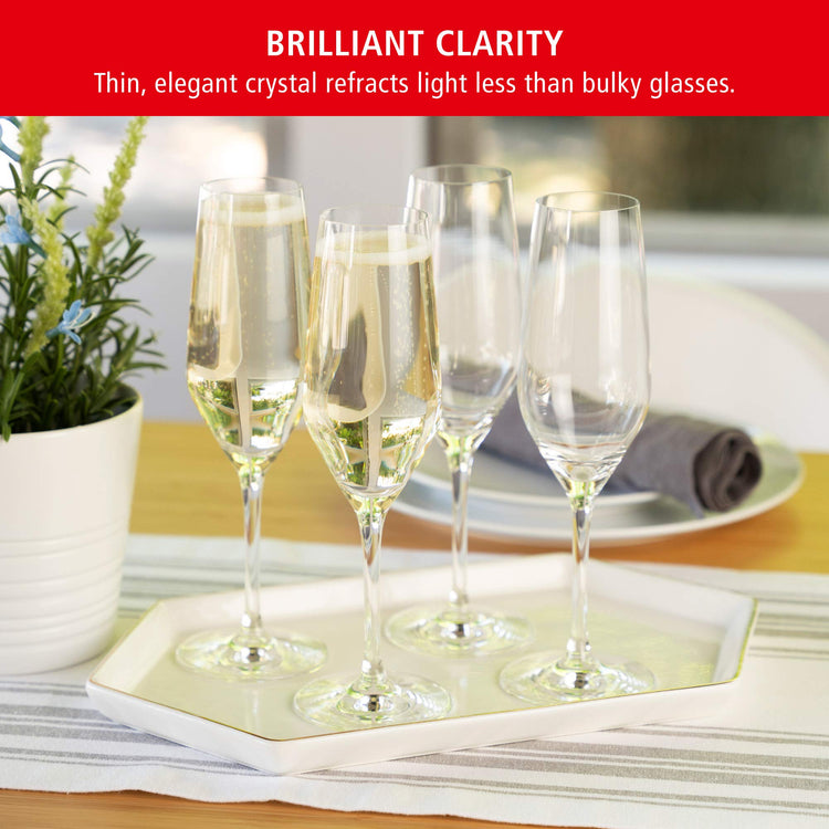 Style Champagne Flutes (4 Count)