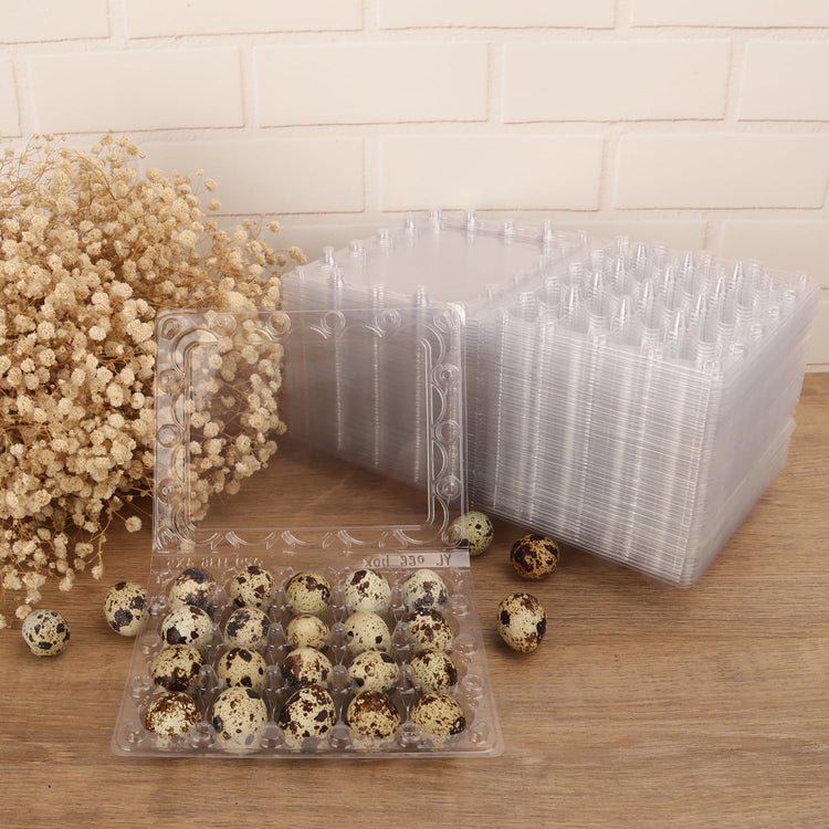 150 Pack Quail Egg Cartons