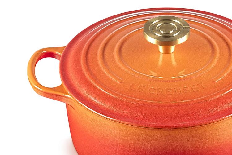 Enameled Cast Iron Round Dutch Oven