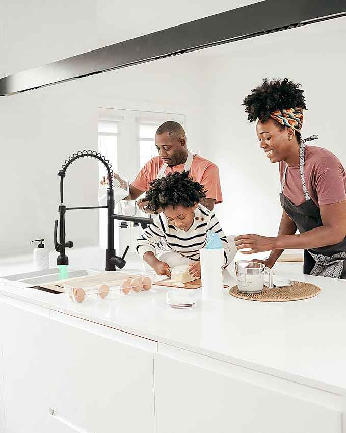 Fapully Black Kitchen Faucet with Pull Down Sprayer,Commercial LED Kitchen Faucet,Single Handle Single Hole Kitchen Sink Faucets