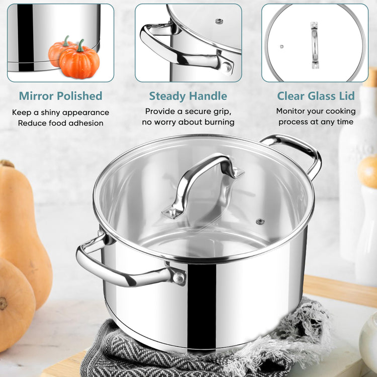 6 Quart Stock Pot with Lid