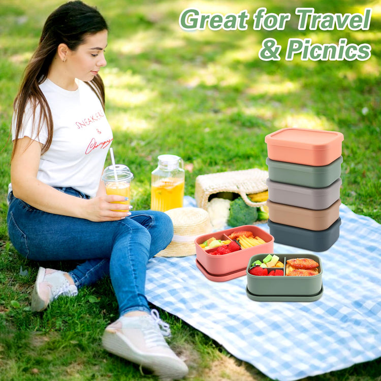 6 Pcs Silicone Bento Boxes (6 Count)