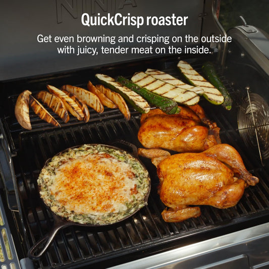 FlexFlame Grill & Smoker