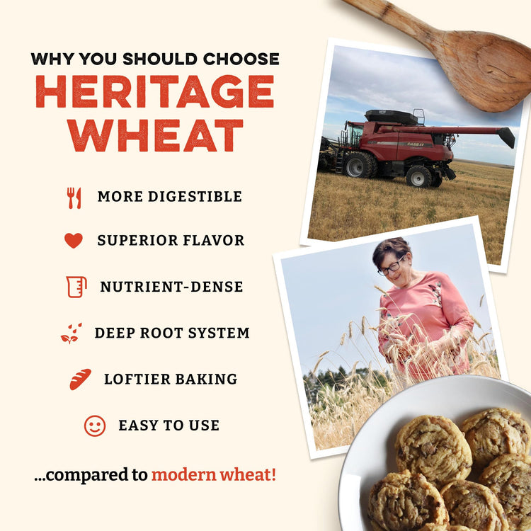Heritage Organic White Flour (400 Ounce)