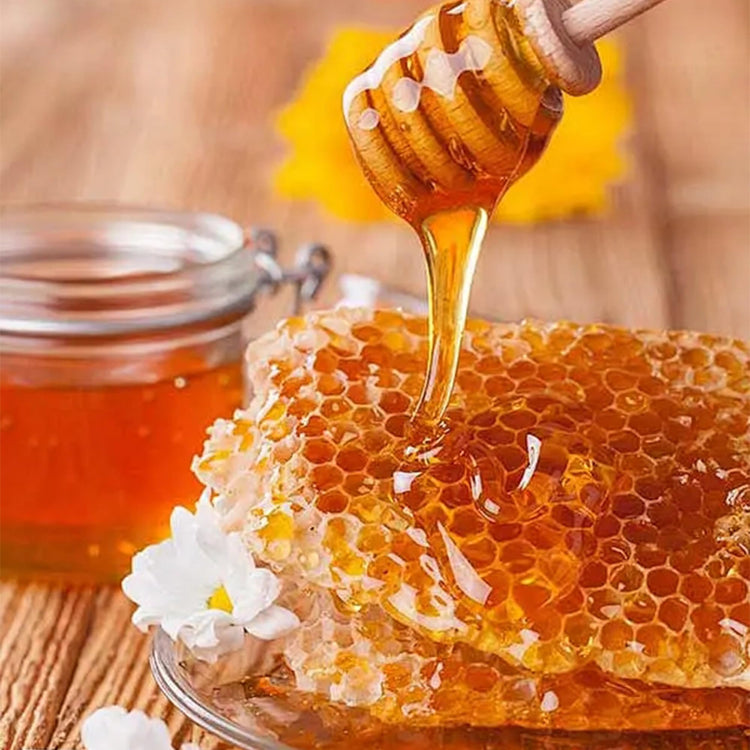 4PCS 6 inch Honey Dipper Sticks Honey Spoon