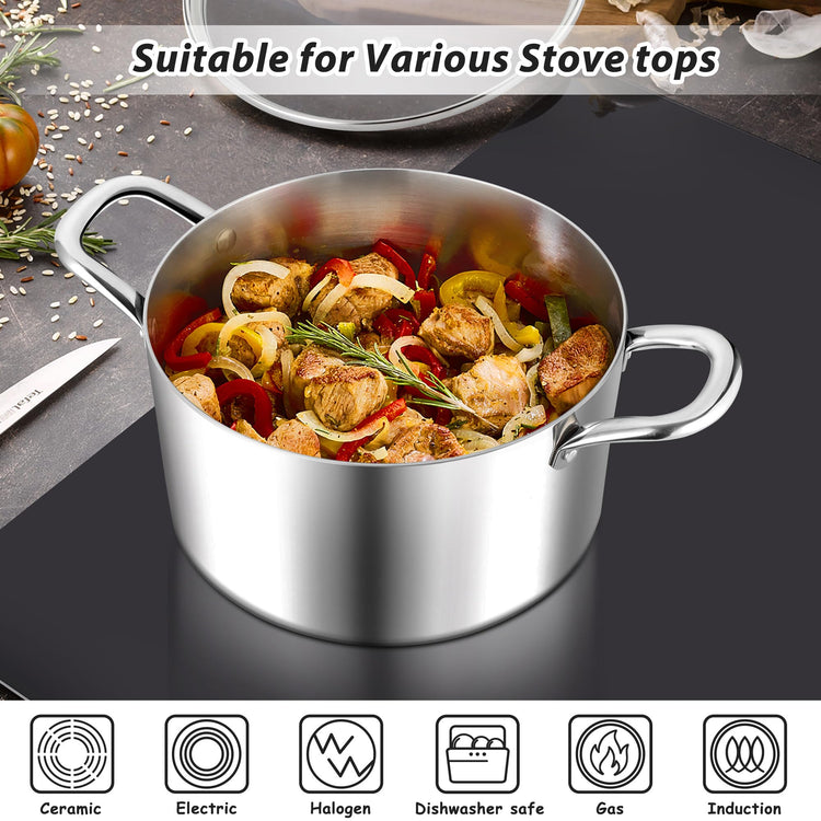 6 Quart Stock Pot